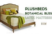 plushbeds botanical bliss mattress