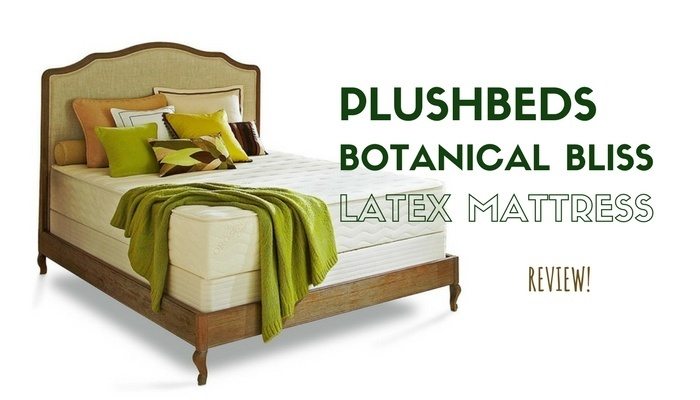 plushbeds botanical bliss mattress