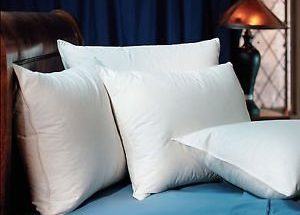 pacific coast double down surround pillows